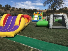 ŞİŞME CANLI LANGIRT G :7 mt. U : 12 mt Y: 2,5 mt.